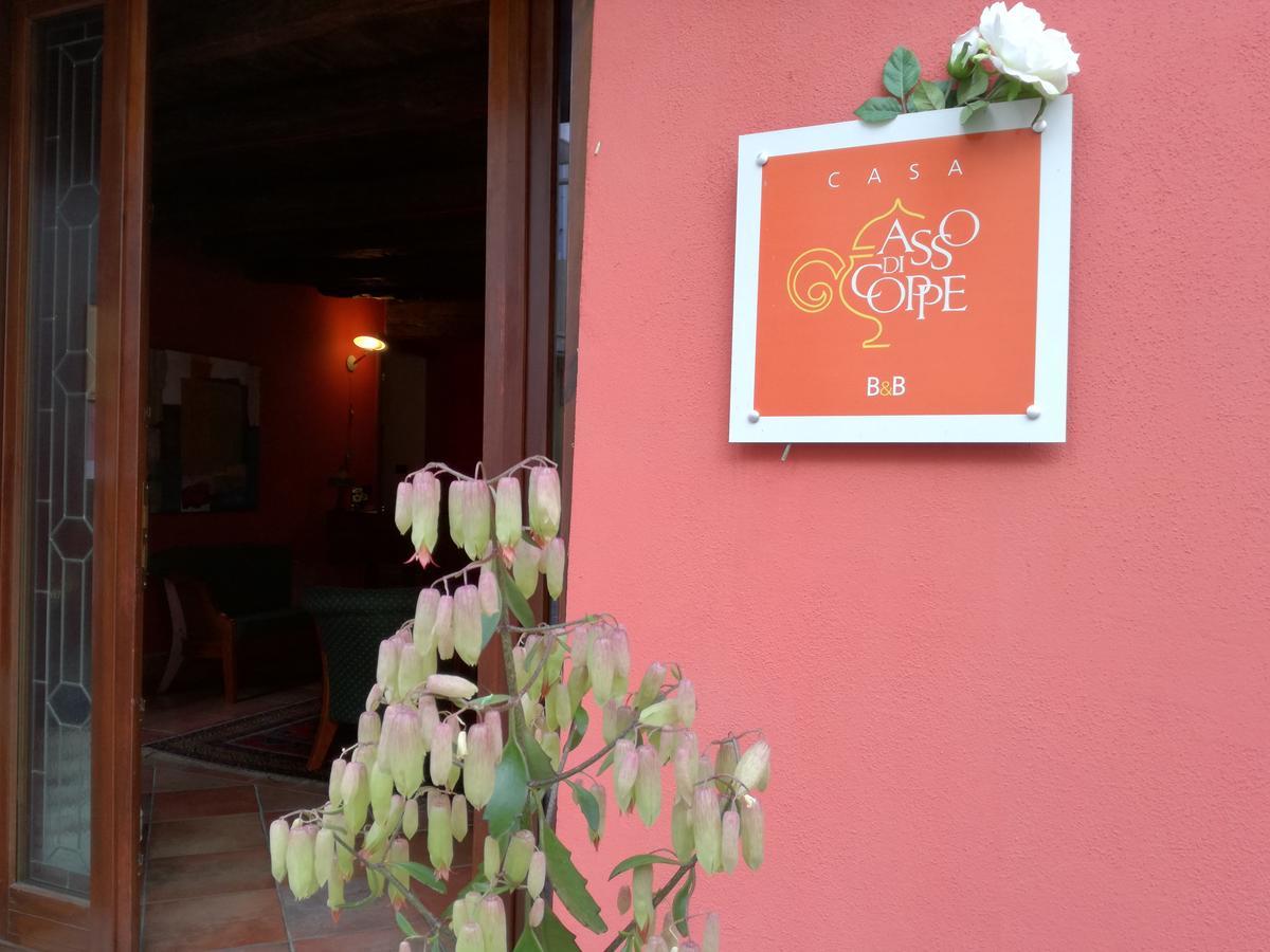 אלבה Casa Asso Di Coppe B&B מראה חיצוני תמונה